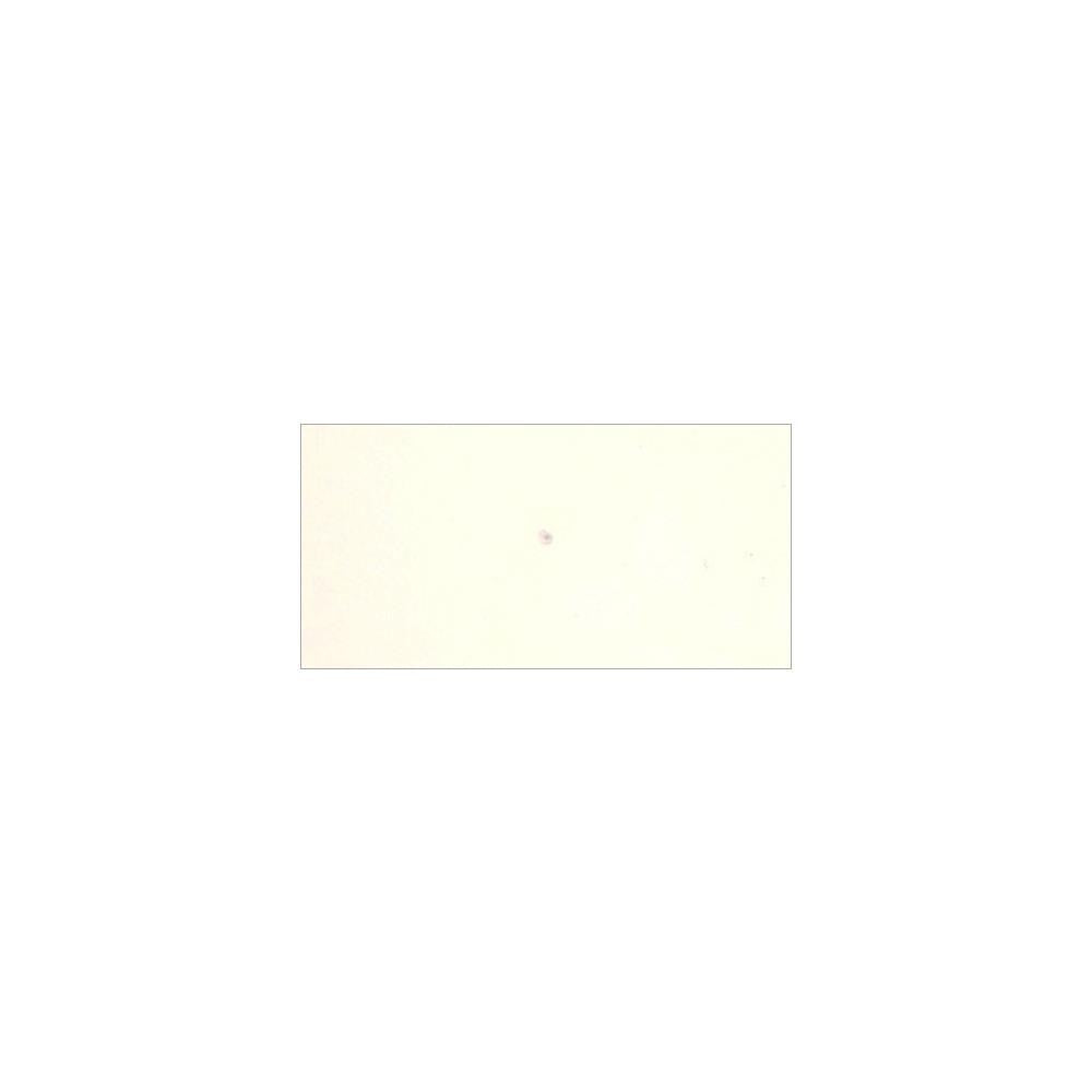 COLOURCRAFT BRUSHO 15G WHITE - BRB12W