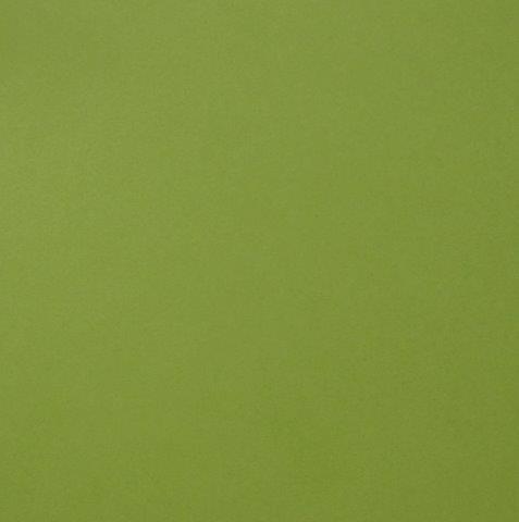 A4 FOUNDATION CARDSTOCK LIME - 41042