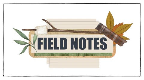 Uniquely Creative > FIELD NOTES