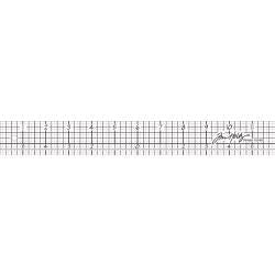 TIM HOLTZ 12 DESIGN RULER WITH STITCH LINES - TH92481
