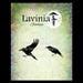 LAVINIA STAMPS  POE AND NOCTIS -LAV1076(PRE ORDER NOW SHIPPING EARLY SEPTEMBER 2026)  
