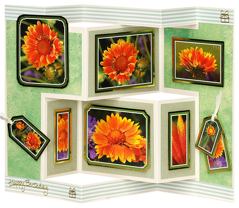 DIECUT TOPPERS CRAFT CREATIONS ORANGE FLOWERS - CDT500G