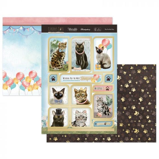 HUNKYDORY TOPPER CURIOUS CATS THE PURRFECT DAY - CURCAT903
