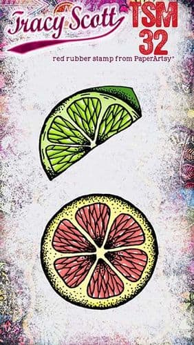 PAPER ARTSY TRACY SCOTT MINI STAMP 32- TSM32