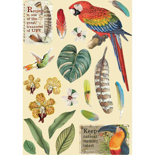 STAMPERIA WOODEN FRAME A5 AMAZONIA PARROT - KLSP095