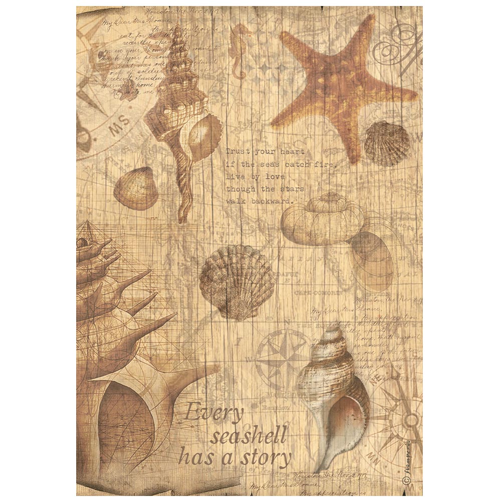 STAMPERIA A4 RICE PAPER PACKED -SEA LAND SHELLS DFSA4859