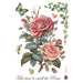 STAMPERIA A4 RICE PAPER PACKED- BIG ROSE -DFSA41002
