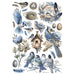 STAMPERIA A4 RICE PAPER PACKED- BIRDS -DFSA41003