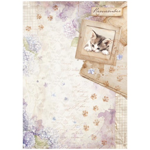 STAMPERIA A4 RICE PAPER PACKED QUIET DAYS KITTENS - DFSA41072