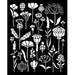 STAMPERIA STENCIL 20CM X 25CM HERBARIUM SILVAE HERBARIUM - KSTD193(PRE ORDER NOW SHIPPING MID DECEMBER 2025)
