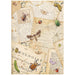 STAMPERIA A4 RICE PAPER PACKED ALL ROUND LETTERS - DFSA41119( PRE ORDER NOW SHIPPING EARLY JUNE 2026)