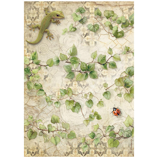 STAMPERIA A4 RICE PAPER PACKED ALL ROUND IVY - DFSA41121( PRE ORDER NOW SHIPPING EARLY JUNE 2026)