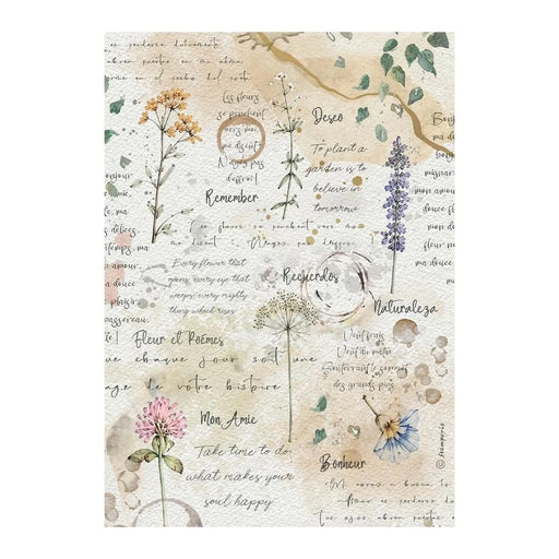 STAMPERIA A4 RICE PAPER PACKED FLOWERS AND POEMS FLOWERS AND WRITING -DFSA41160(PRE ORDER NOW SHIPPING IN LATER OCTOBER 2026)