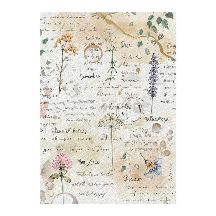 STAMPERIA A4 RICE PAPER PACKED FLOWERS AND POEMS FLOWERS AND WRITING -DFSA41160(PRE ORDER NOW SHIPPING IN LATER OCTOBER 2026)