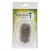 LAVINIA STAMPS TEXTURE 3 - LAV788