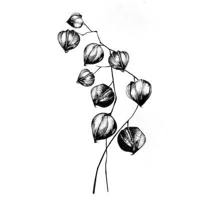 LAVINIA STAMPS CHINESE LANTERN - LAV108