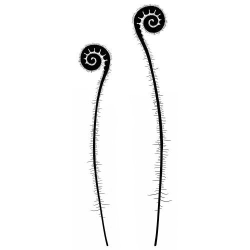 LAVINIA STAMPS FERN HEAD SINGLE - LAV462