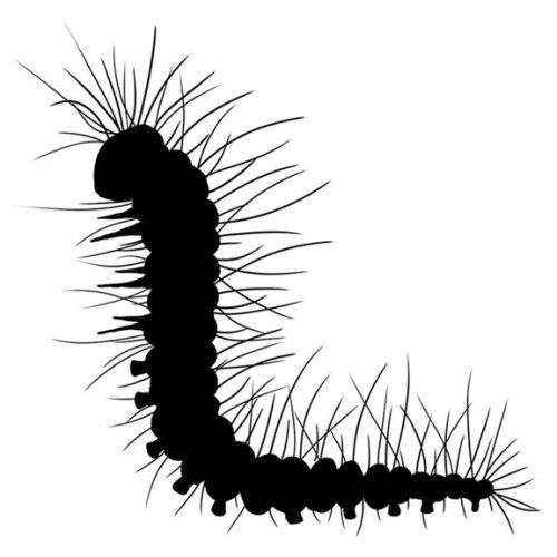 LAVINIA STAMPS CHRISTOPHER MINI - LAV504