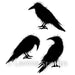 LAVINIA STAMPS CROW SET - LAV540