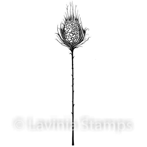 LAVINIA STAMPS STAR BURST - LAV544