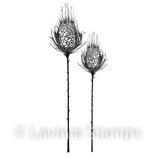 LAVINIA STAMPS STAR BURST SET - LAV545