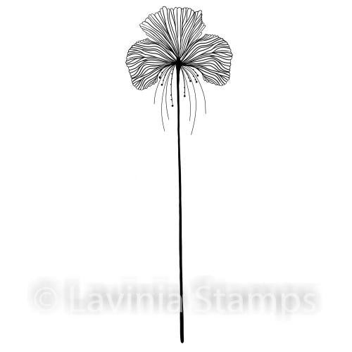 LAVINIA STAMPS SINGLE FAIRY ORCHID - LAV548
