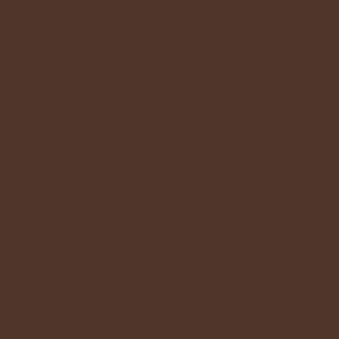 BAZZIL 12 X 12 CARDSTOCK BURNT UMBER - C372379