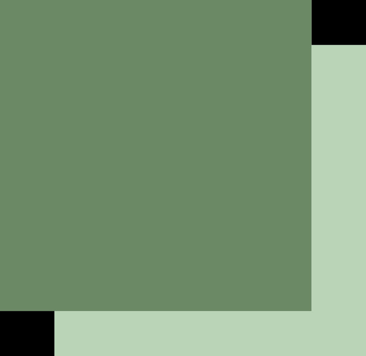 PINE CARDSTOCK - UCCA1776