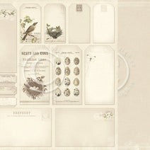 PION 12X12 A DAY IN MAY TAGS - PD4412F