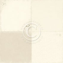 PION 12X12 A DAY IN MAY 6X6 BUTTERFLY DANCE - PD4503F