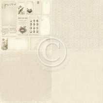 PION 12X12 A DAY IN MAY 6X6 TAGS - PD4506F