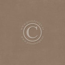 PION 12X12 PALLETE PION BROWN 1 - PD6105F