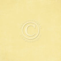 PION 12X12 PALLETE PION YELLOW 1 - PD6106F