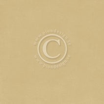 PION12X12 PALETTE PION OCRA 1 - PD6135F