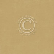 PION12X12 PALETTE PION OCRA 2 - PD6136F