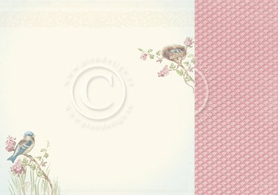 PION 12 X12 SEASIDE STORIES SONGBIRD - PD16004F