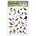 LAVINIA STAMPS SONGBIRD STICKER 2- LST002