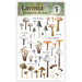 LAVINIA STAMPS MUSHROOM STICKER 2- LST005