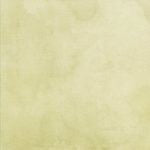 49 AND MARKET ARTOPTION ALENA12 X 12 PAPER EXQUISITE - AA-37254