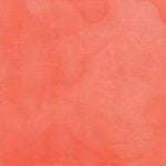 49 AND MARKET ARTOPTION ALENA12 X 12 PAPER FULL BLOOM - AA-37292