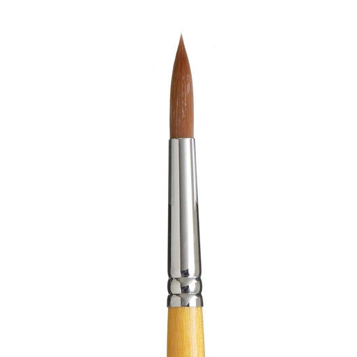 PRINCETON SNAP SYN GOLD SH ROUND SIZE 10