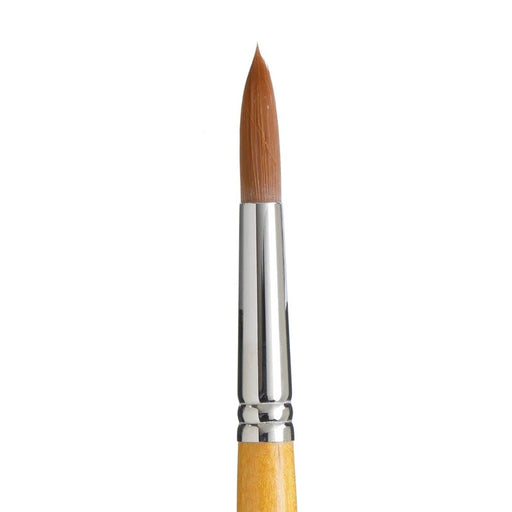 PRINCETON SNAP SYN GOLD SH ROUND SIZE 12