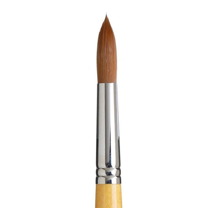 PRINCETON SNAP SYN GOLD SH ROUND SIZE 16