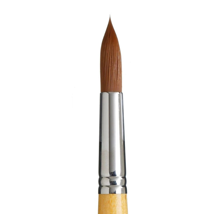 PRINCETON SNAP SYN GOLD SH ROUND SIZE 20