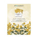 49 AND MARKET COLOR SWATCH OCHRE 6 X 8 PACK COLLECTION - OCS-26801