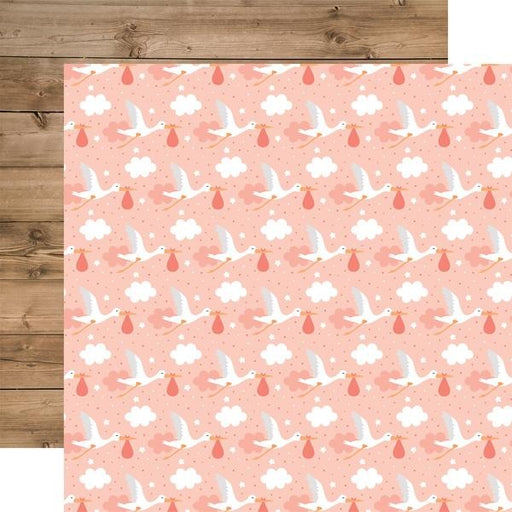 ECHO PARK BABY GIRL 12 X 12 PAPER LITTLE ONE - BAG202008