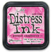 TIM HOLTZ DISTRESS INK PAD PICKED RASPBERRY - DIS34995