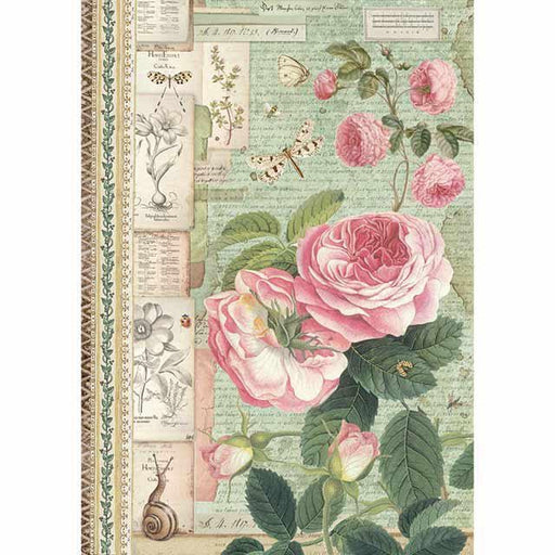 STAMPERIA A4 RICE PAPER BOTANIC ENGLISH ROSES AND SNAIL - DFSA4359