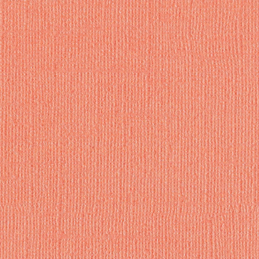 BAZZILL BLING 12X12 PERKY - 300516