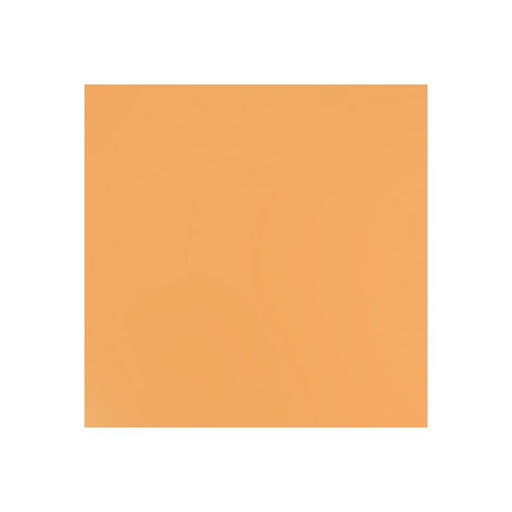 BAZZILL 12 X 12 CITRUS SLICE - 300668